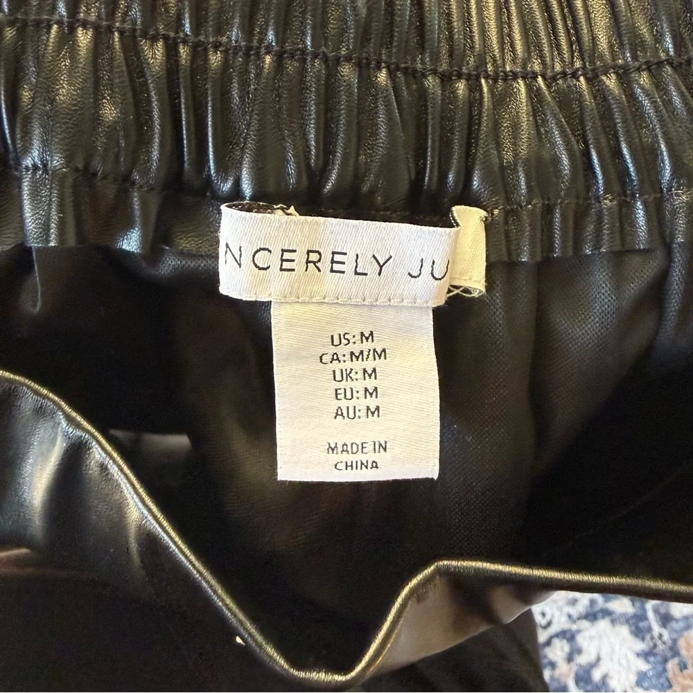 Sincerely Jules Black Faux Leather Pleated Midi Skirt Size M Anthropologie Style - Picture 3 of 4